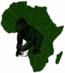 Gorilla trekking in Africa