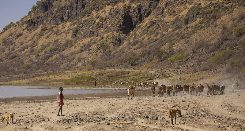 Lake Natron Expeditions
