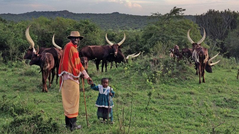 Bahima and Culture