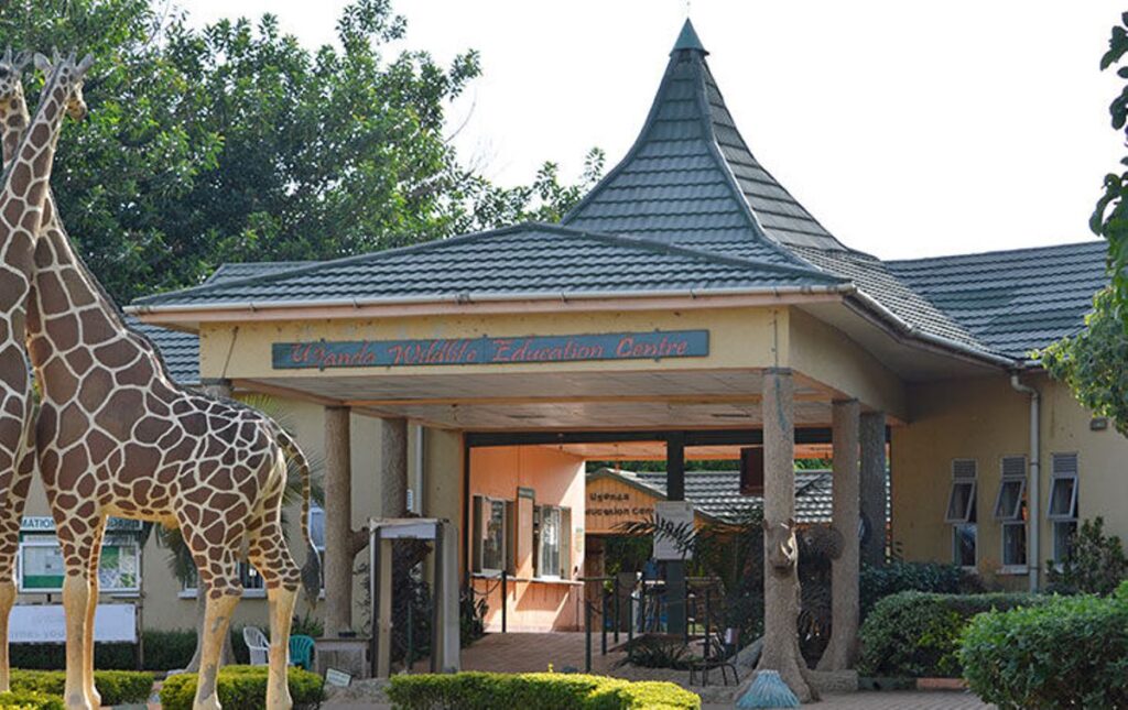 1 Day Entebbe Tour