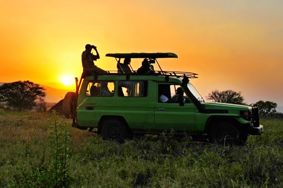 What is a Game Drive Safari