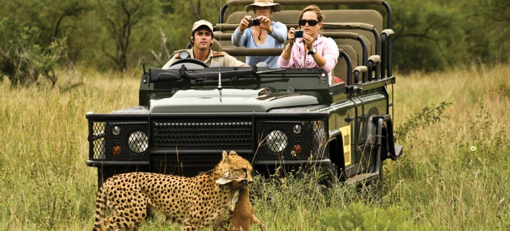 What is a Game Drive Safari