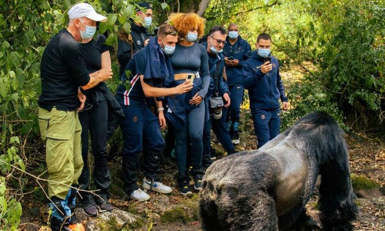 Age limit for gorilla trekking in Uganda