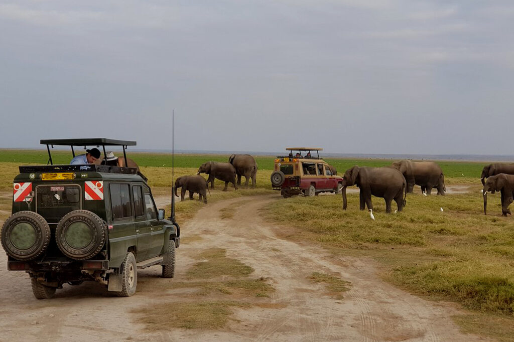 Game drive in Amboseli National park