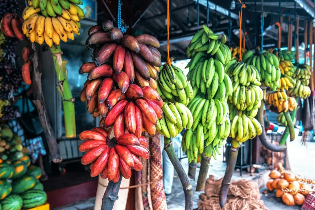 Uganda is Africa’s Banana Republic
