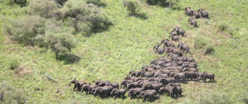 Exclusive 2 days Masai Mara Wildlife Safari 