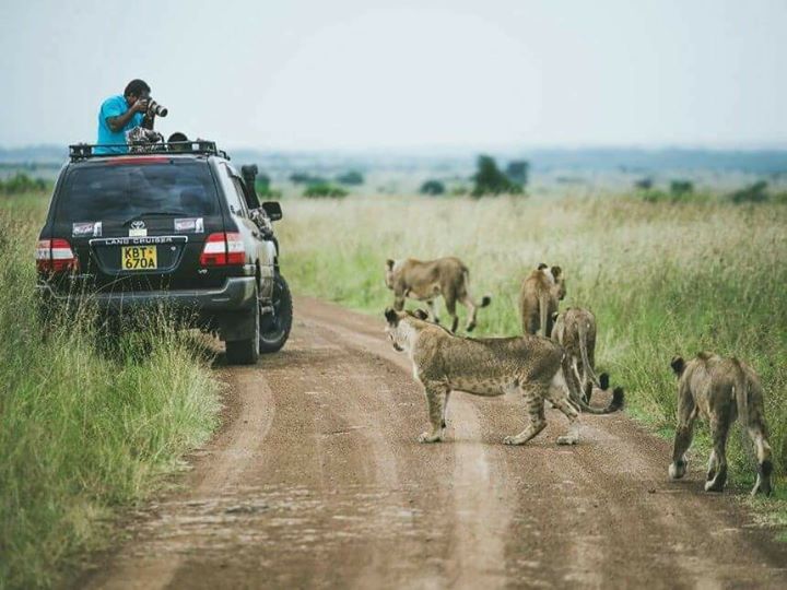 Nairobi National Park