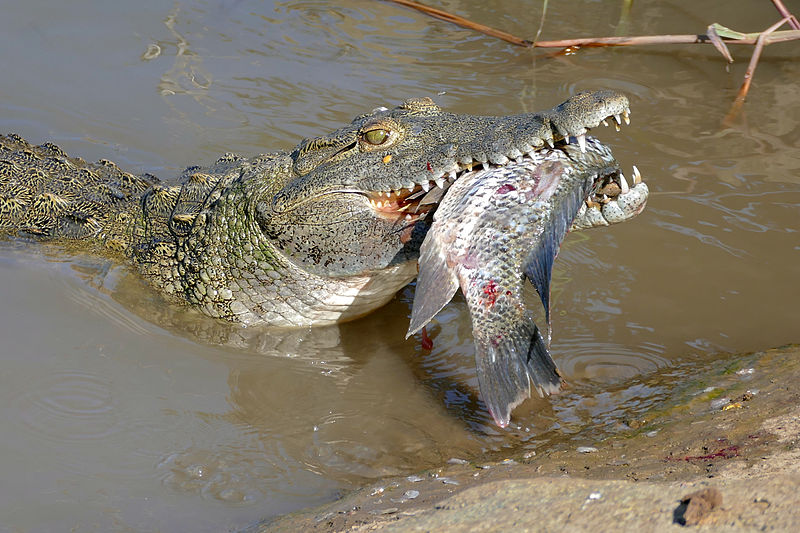 Central island National Park 