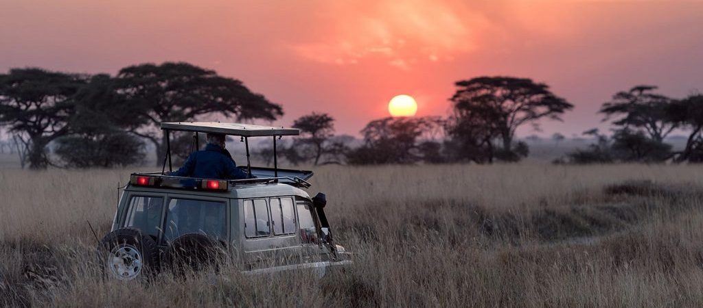 Where to do night game drives in Uganda