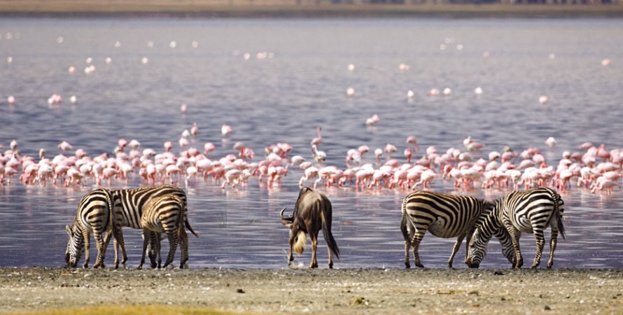 Best time to visit Lake Naivasha national park