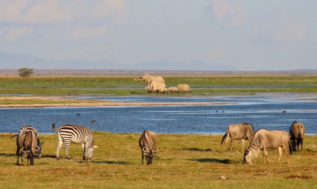 Best time to visit Amboseli National Park 