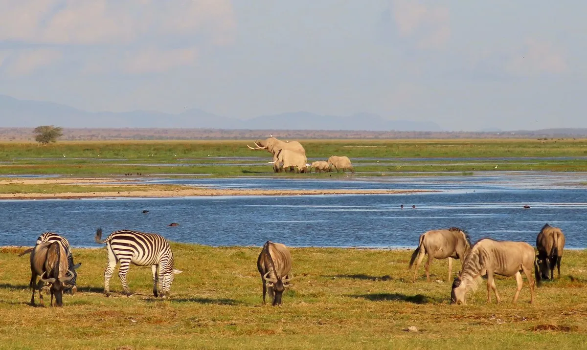 Best time to visit Amboseli National Park