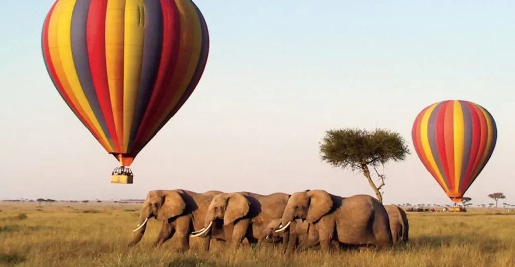 Things to do in Amboseli National Park 