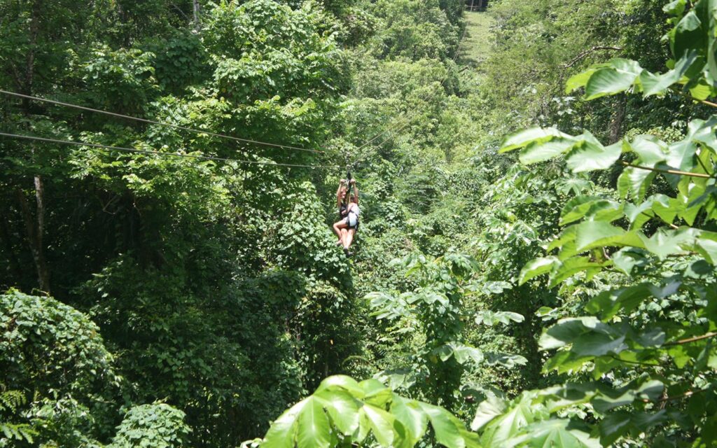 Zip-lining in Nyungwe National Park