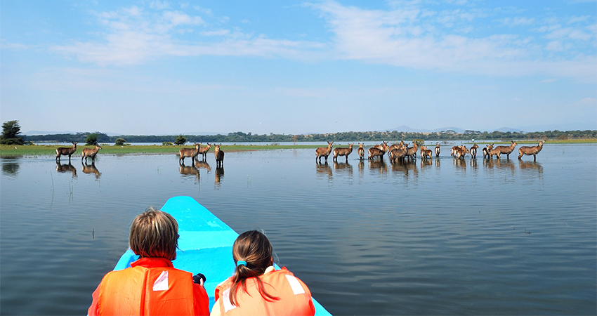 Lake Naivasha National Park