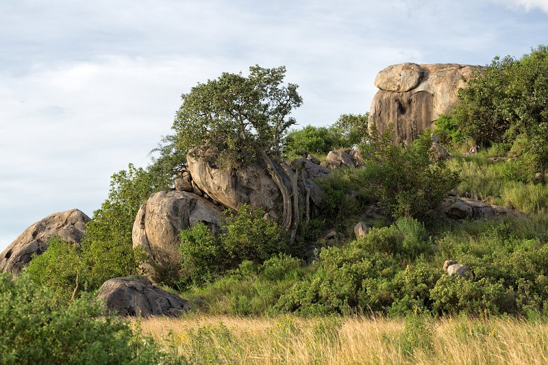Kopjes in serengeti National Park