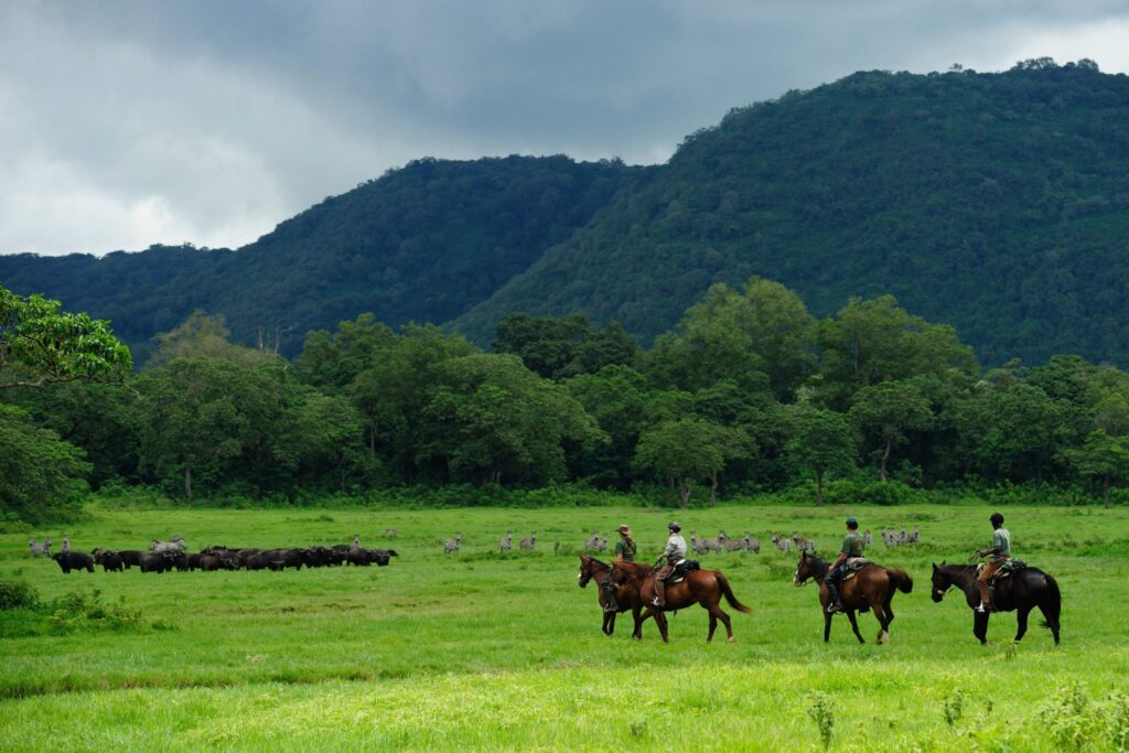 Horse riding in Arusha National Park
