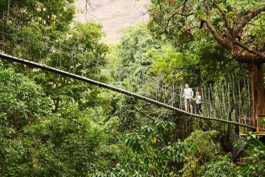 Lake Manyara treetop walkway