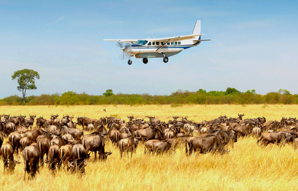 3 Days Fly-In Serengeti Safari