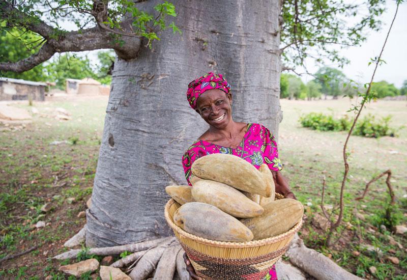 Baobab Fruits