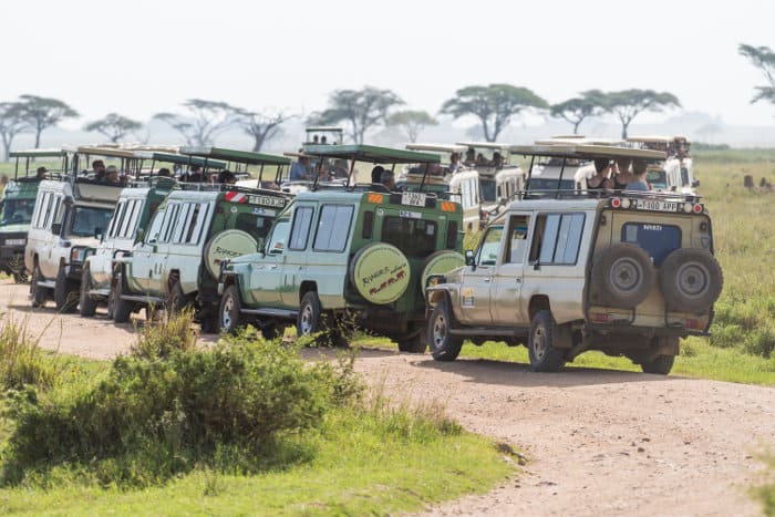 How to avoid the crowds during safari in Serengeti