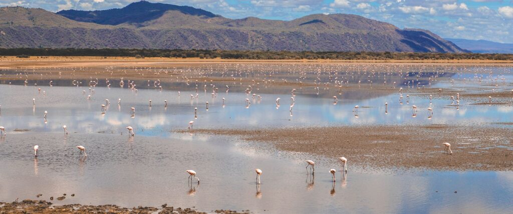 Lake Eyasi
