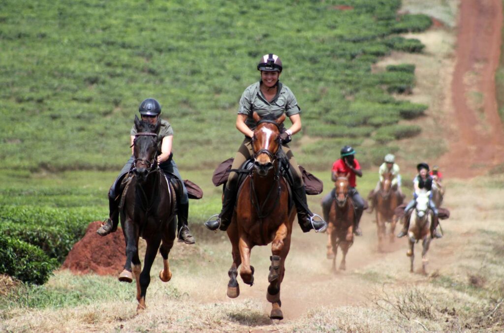 Horse Riding Safaris in Uganda