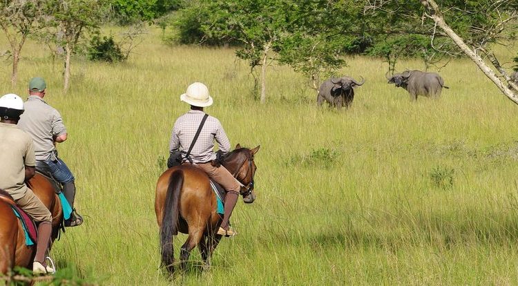 Horse Riding Safaris in Uganda