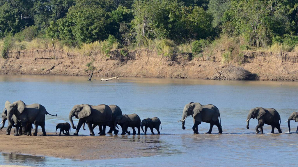 Mosi-oa-Tunya National Park