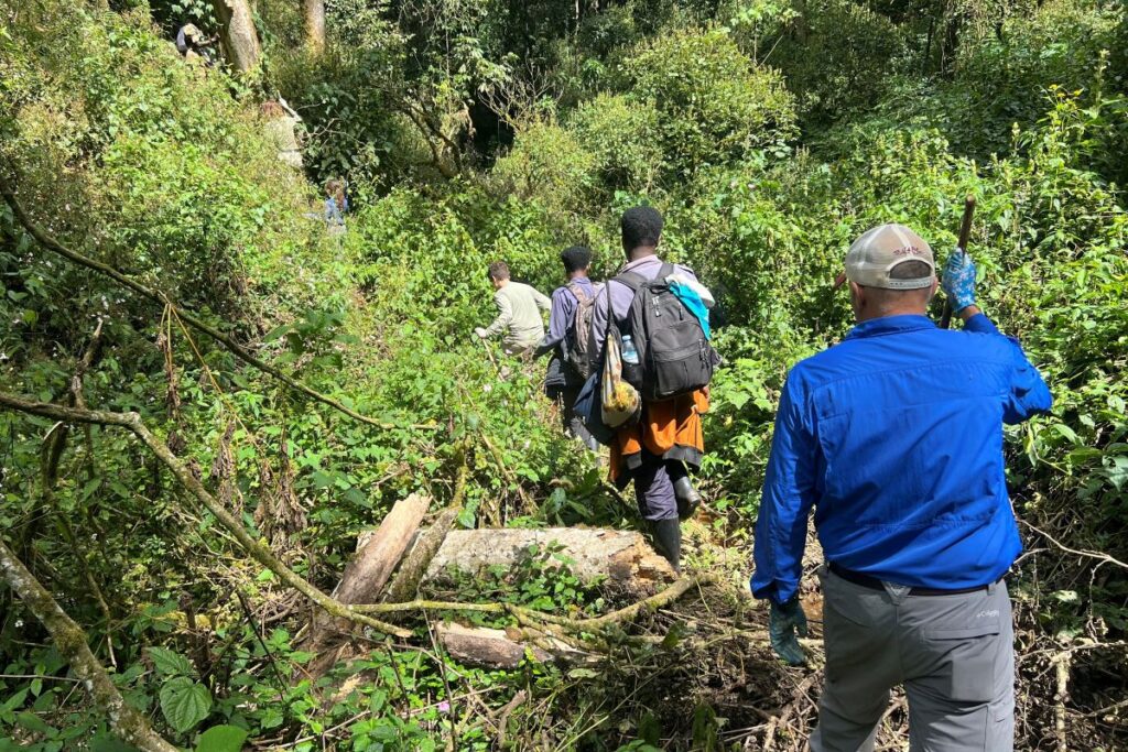 Rules and Requirements for Gorilla Trekking