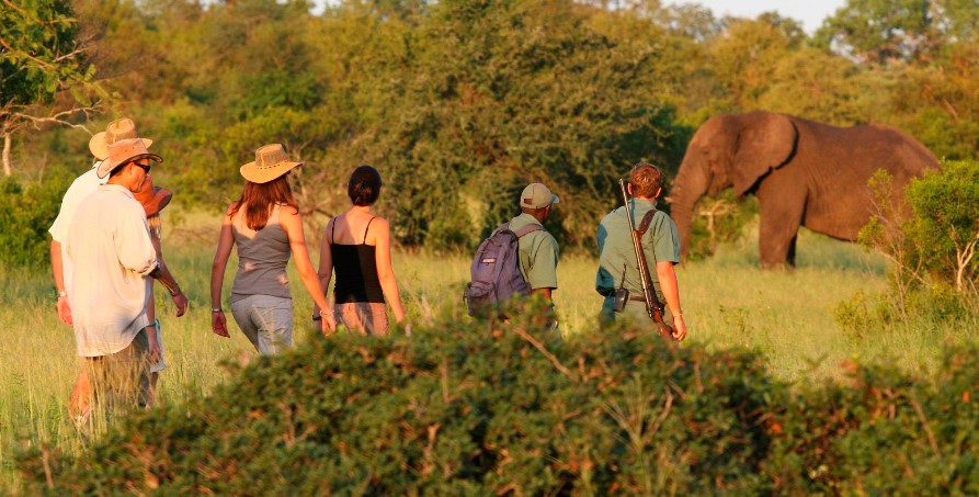 Bush Walking Safaris in Tarangire National Park